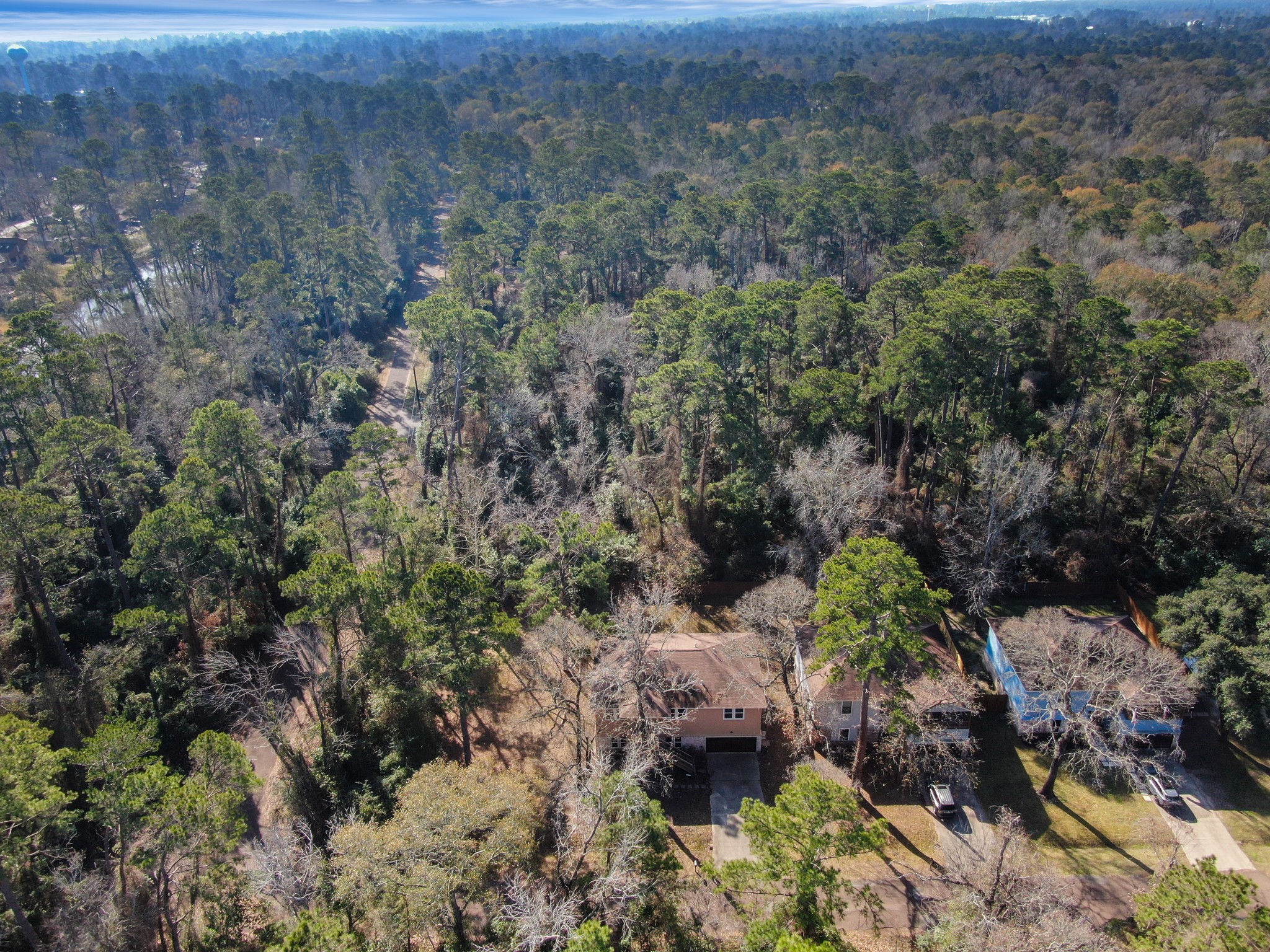 3527 Gary Lane Spring, TX 77380 - Photo 47 of 47 a view of a forest with a forest