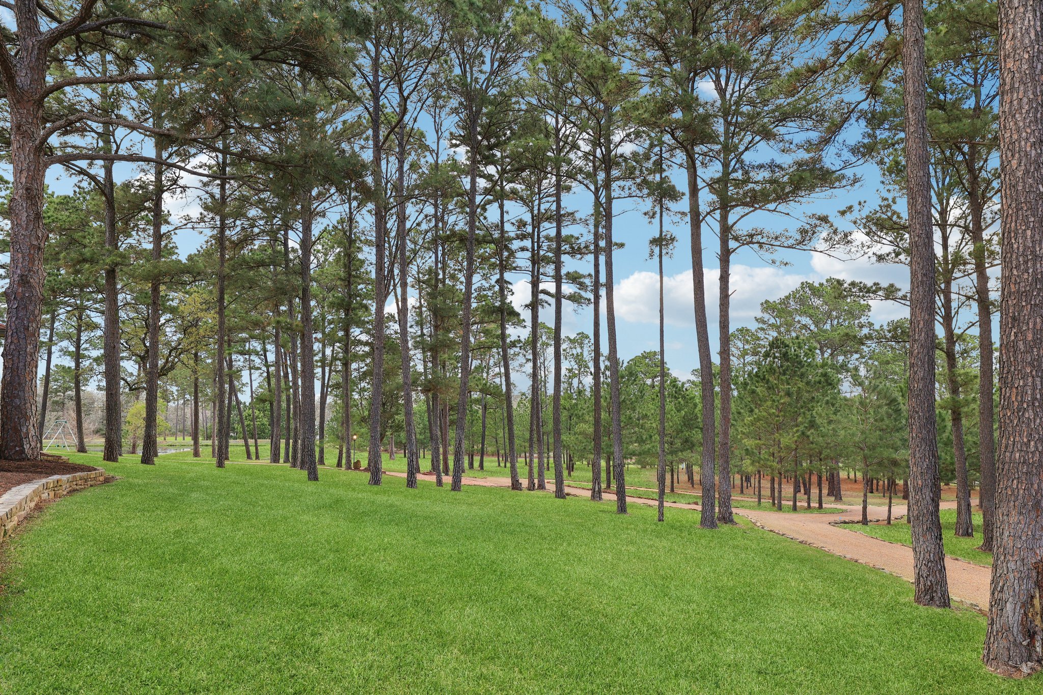 546 McAllister Road Bastrop, TX 78602 - Photo 39 of 40 View of green lawn featuring view of scattered trees