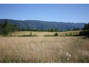 0 Rambo Road Greeneville, TN 37743 - Photo 1 of 1 Photo 1