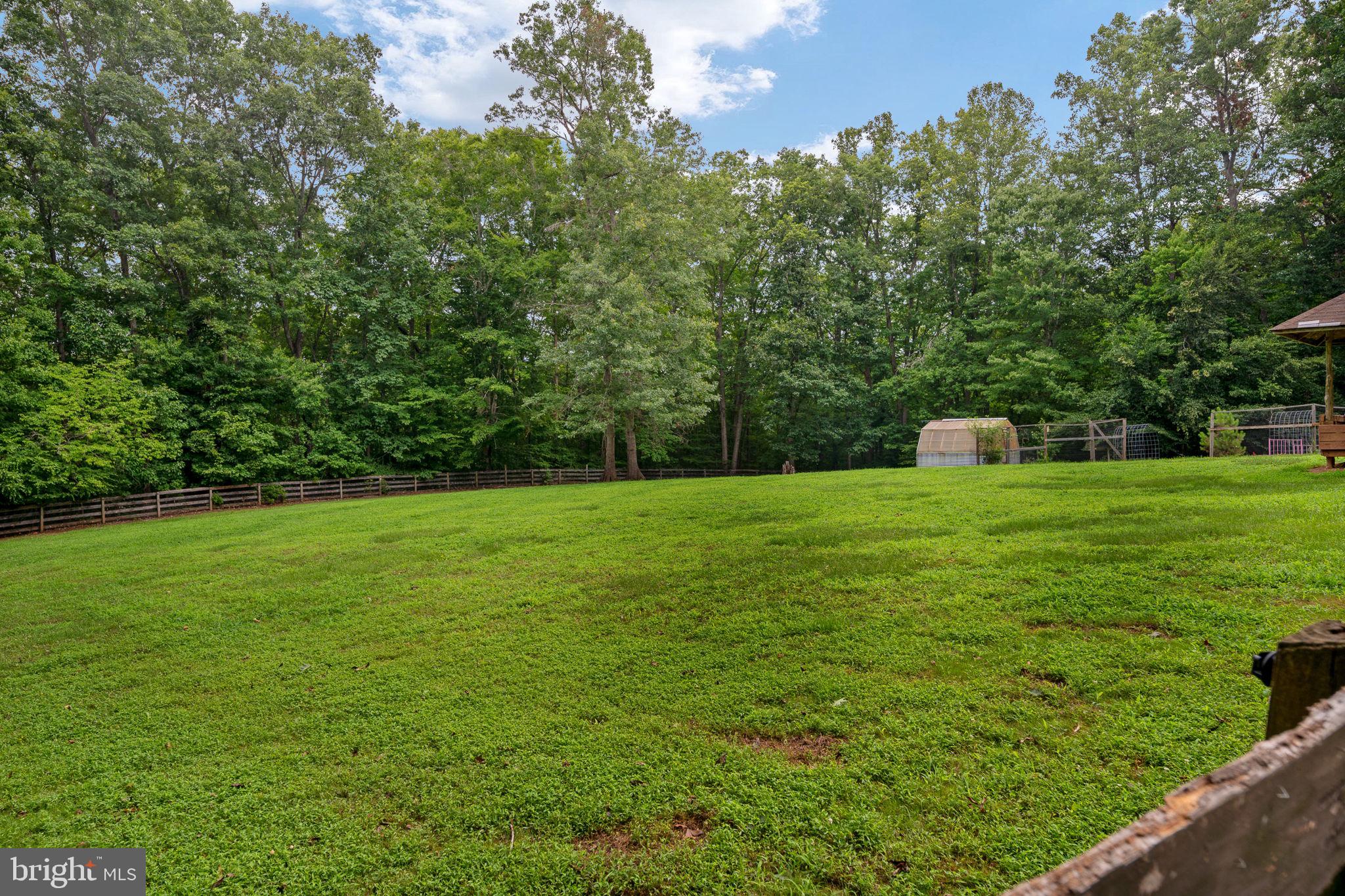 60 River Falls Road Fredericksburg, VA 22406 - Photo 58 of 73 Bring your horses