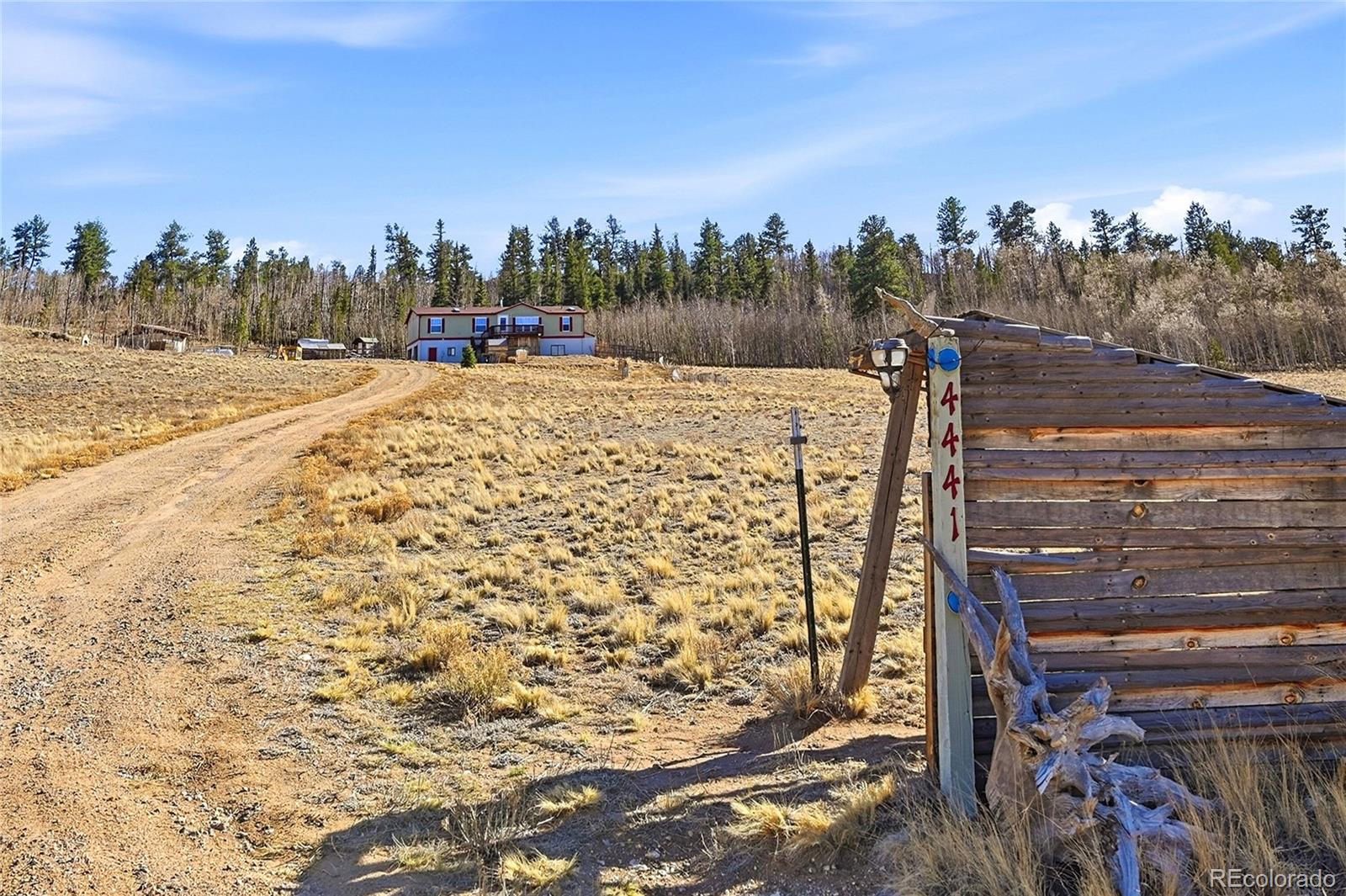 4441 Goldenburg Canyon Road Hartsel, CO 80449 - Photo 2 of 48 a view of a yard