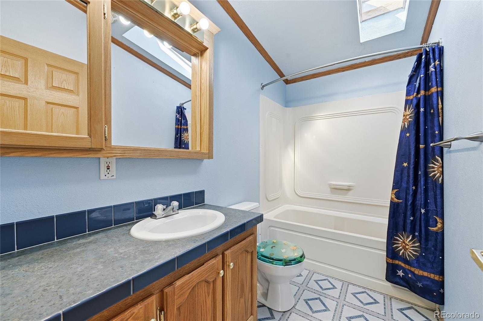 4441 Goldenburg Canyon Road Hartsel, CO 80449 - Photo 27 of 48 a bathroom with a granite countertop sink and a mirror