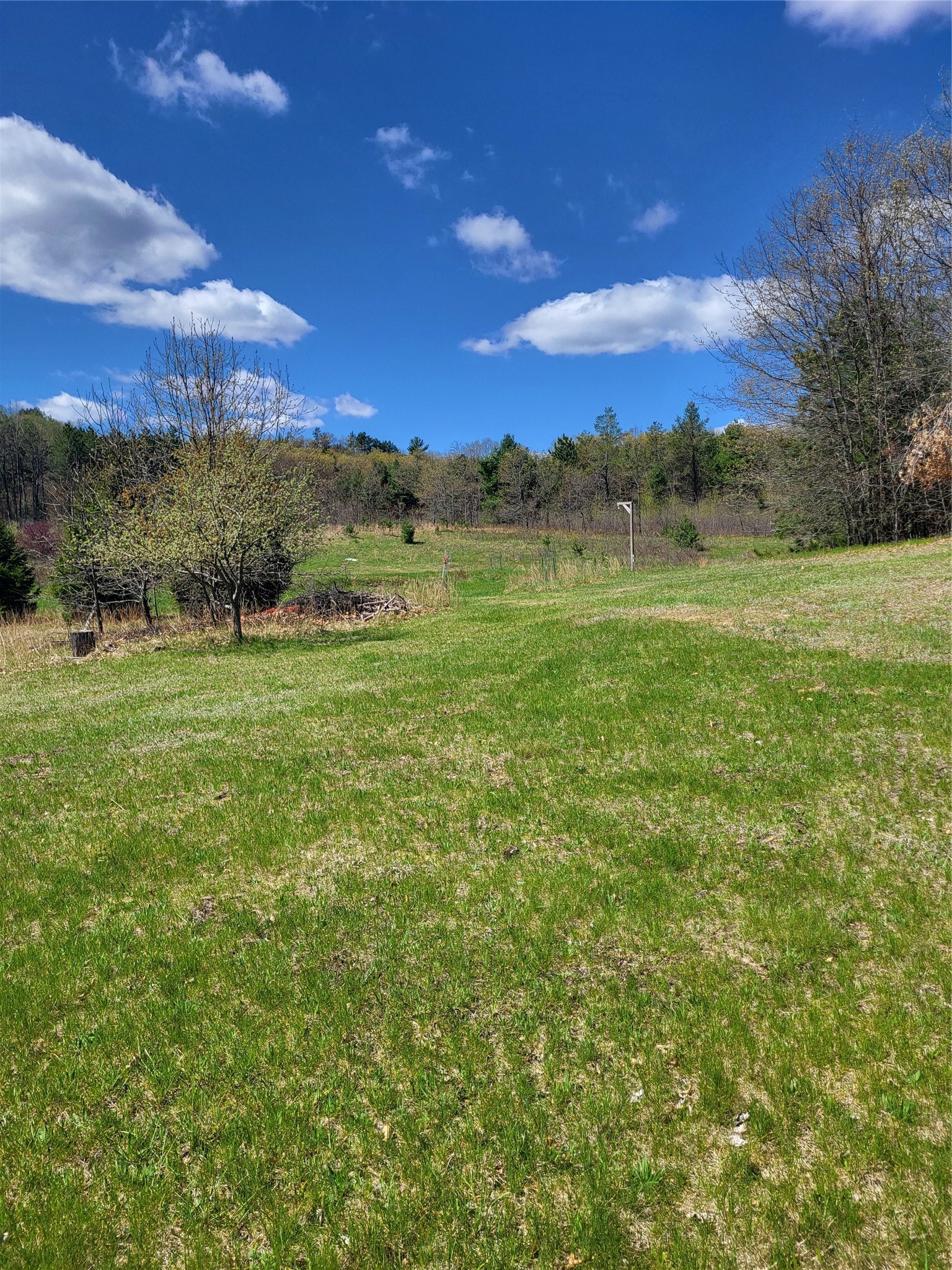N4131 Valley Road Black River Falls, WI 54615 - Photo 40 of 48