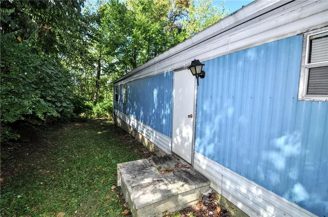 a view of a yard with plants and large trees