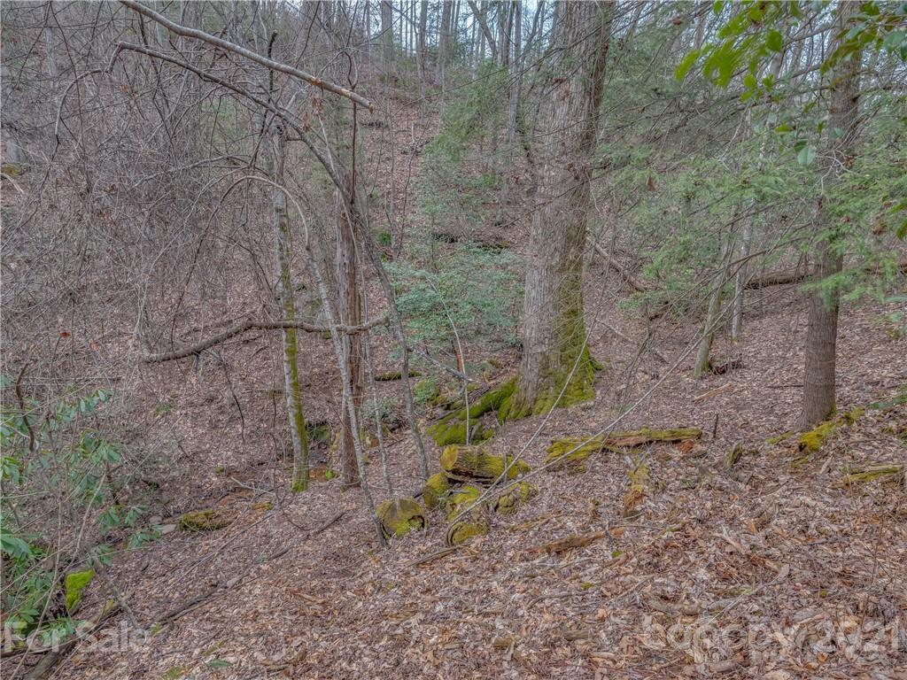 490 Maybank Road, Unit A Saluda, NC 28773 - Photo 1 of 15 Gallery Image 1