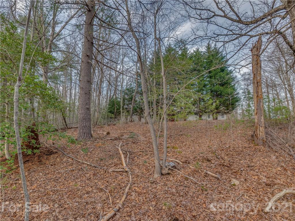 490 Maybank Road, Unit A Saluda, NC 28773 - Photo 13 of 15 Gallery Image 13