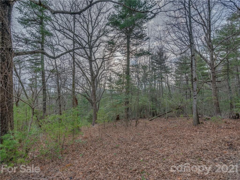 490 Maybank Road, Unit A Saluda, NC 28773 - Photo 14 of 15 Gallery Image 14