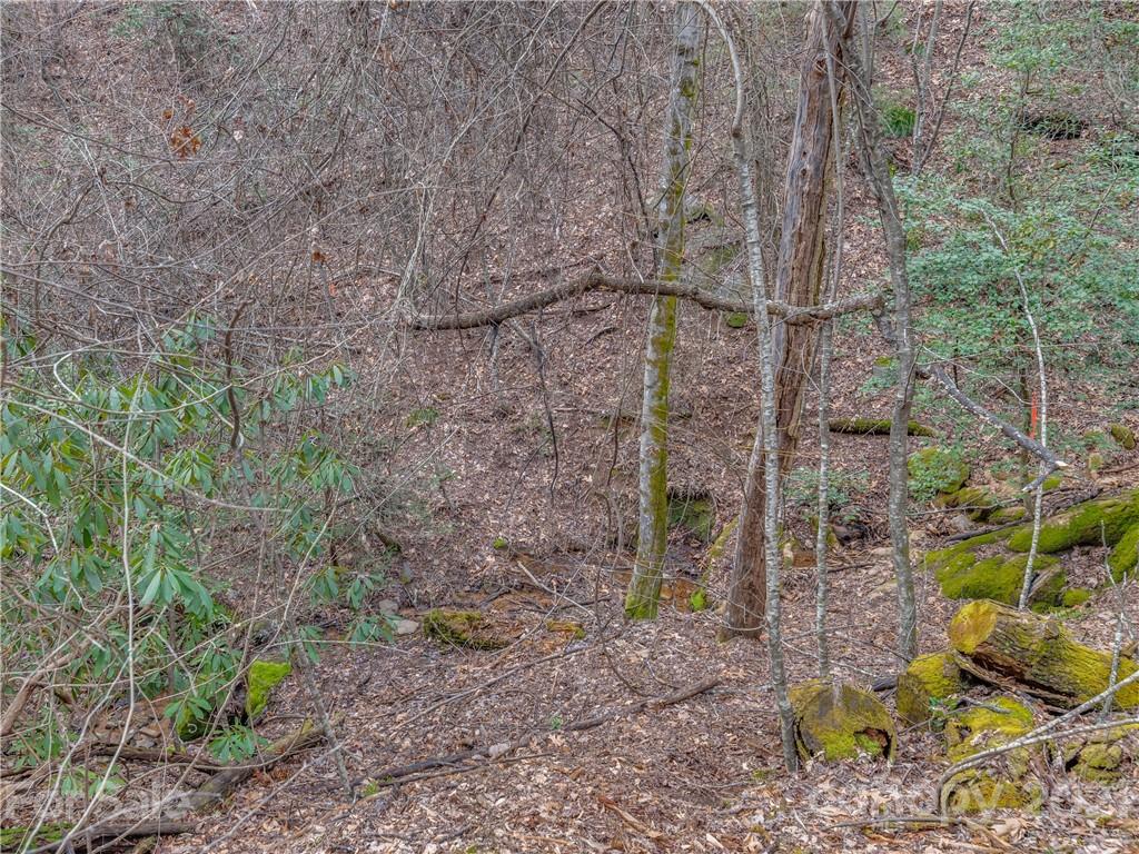 490 Maybank Road, Unit A Saluda, NC 28773 - Photo 3 of 15 Gallery Image 3
