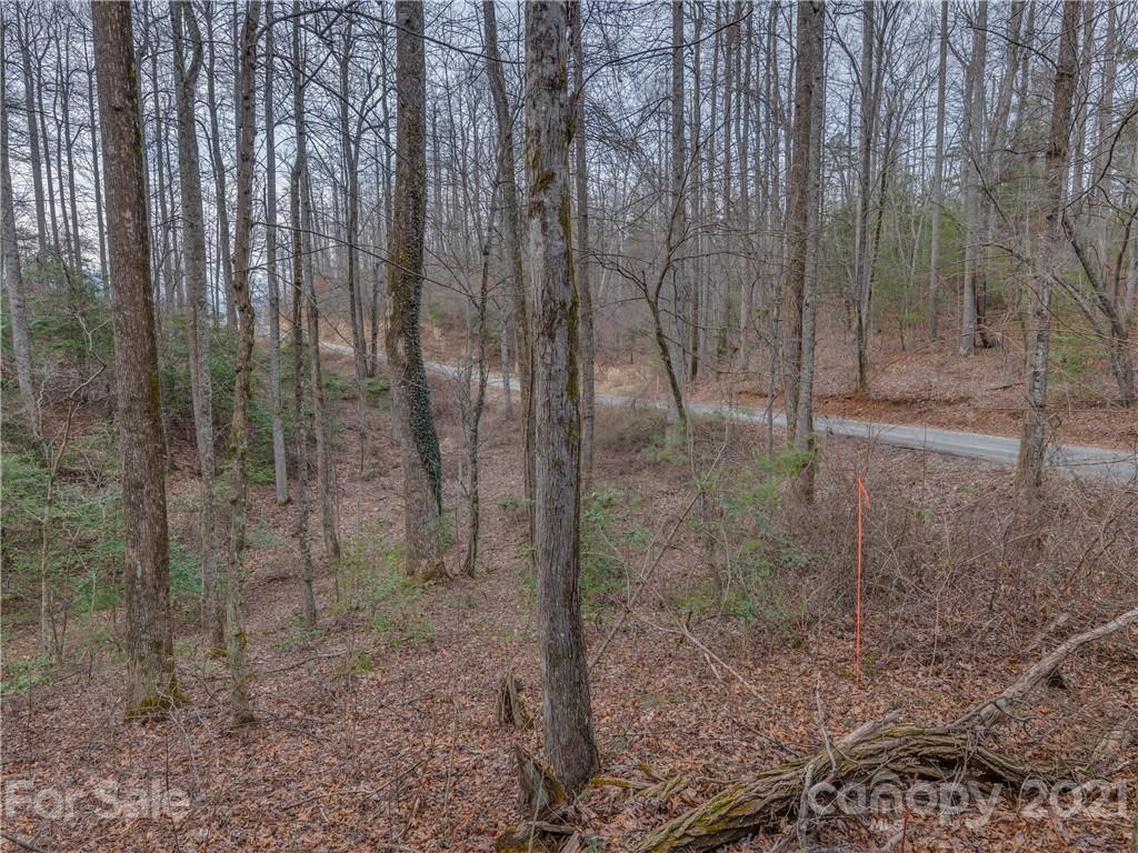 490 Maybank Road, Unit A Saluda, NC 28773 - Photo 5 of 15 Gallery Image 5