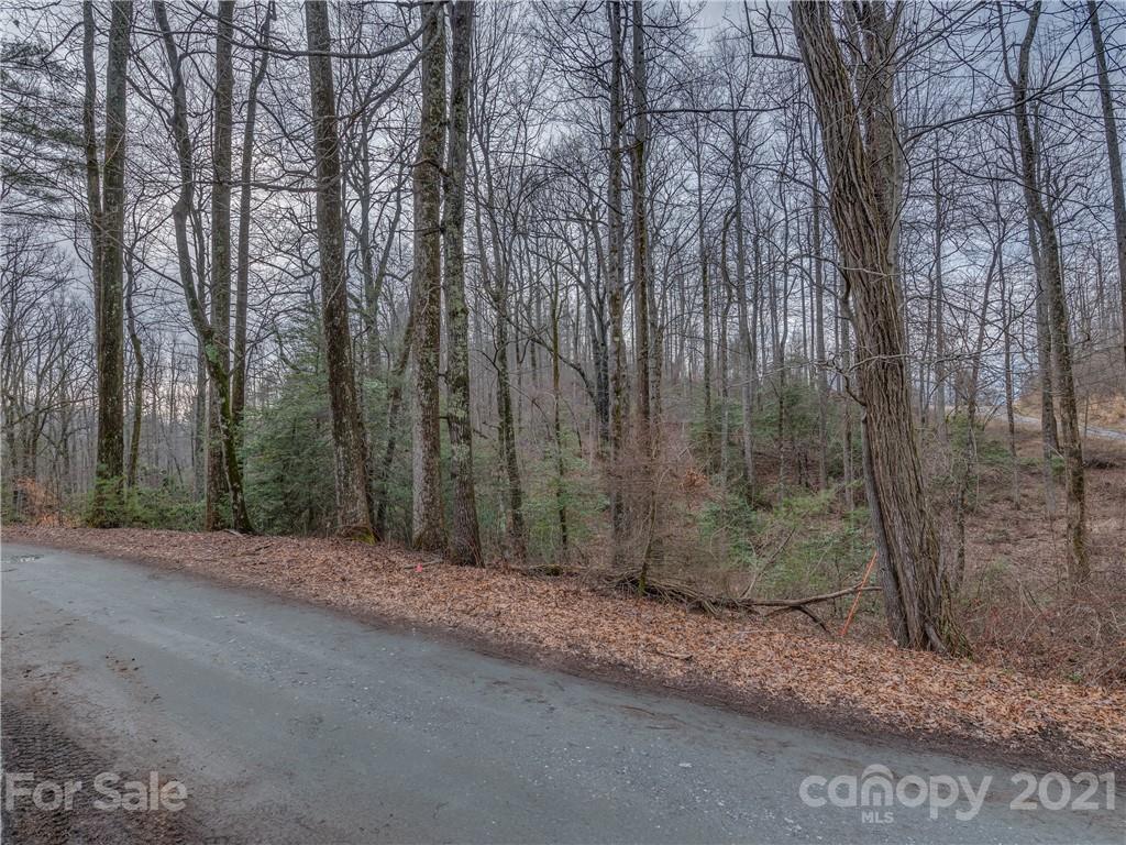 490 Maybank Road, Unit A Saluda, NC 28773 - Photo 6 of 15 Gallery Image 6