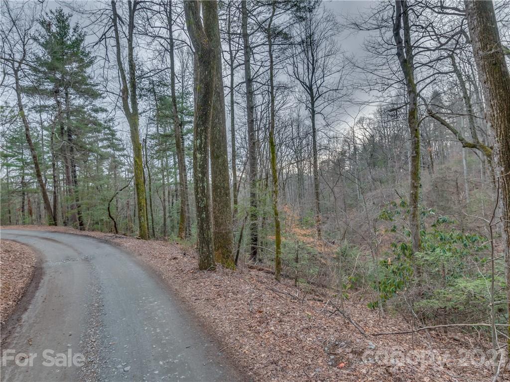 490 Maybank Road, Unit A Saluda, NC 28773 - Photo 7 of 15 Gallery Image 7