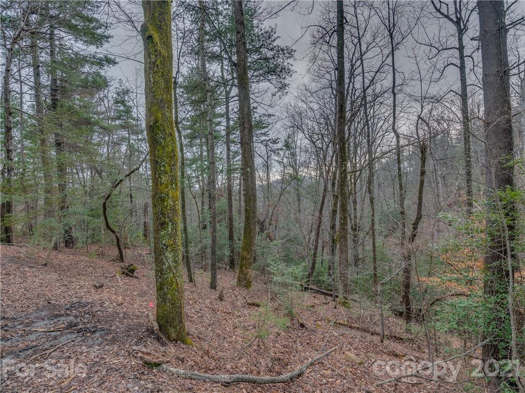 490 Maybank Road, Unit A Saluda, NC 28773 - Photo 8 of 15 Gallery Image 8