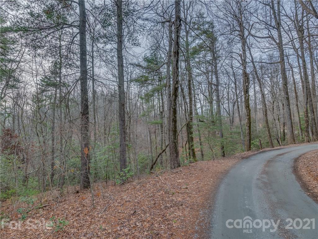490 Maybank Road, Unit A Saluda, NC 28773 - Photo 9 of 15 Gallery Image 9
