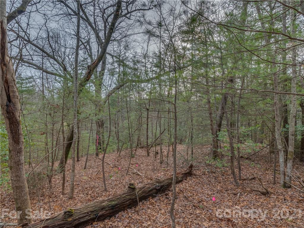 490 Maybank Road, Unit A Saluda, NC 28773 - Photo 10 of 15 Gallery Image 10