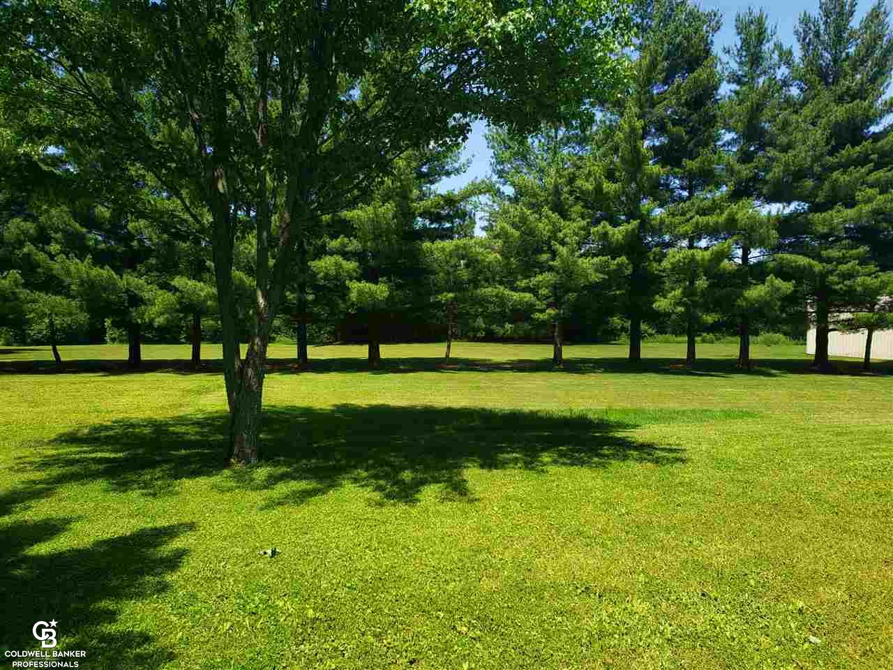 5200 Kilgore Road Avoca, MI 48006 - Photo 20 of 29 Side Yard View 1