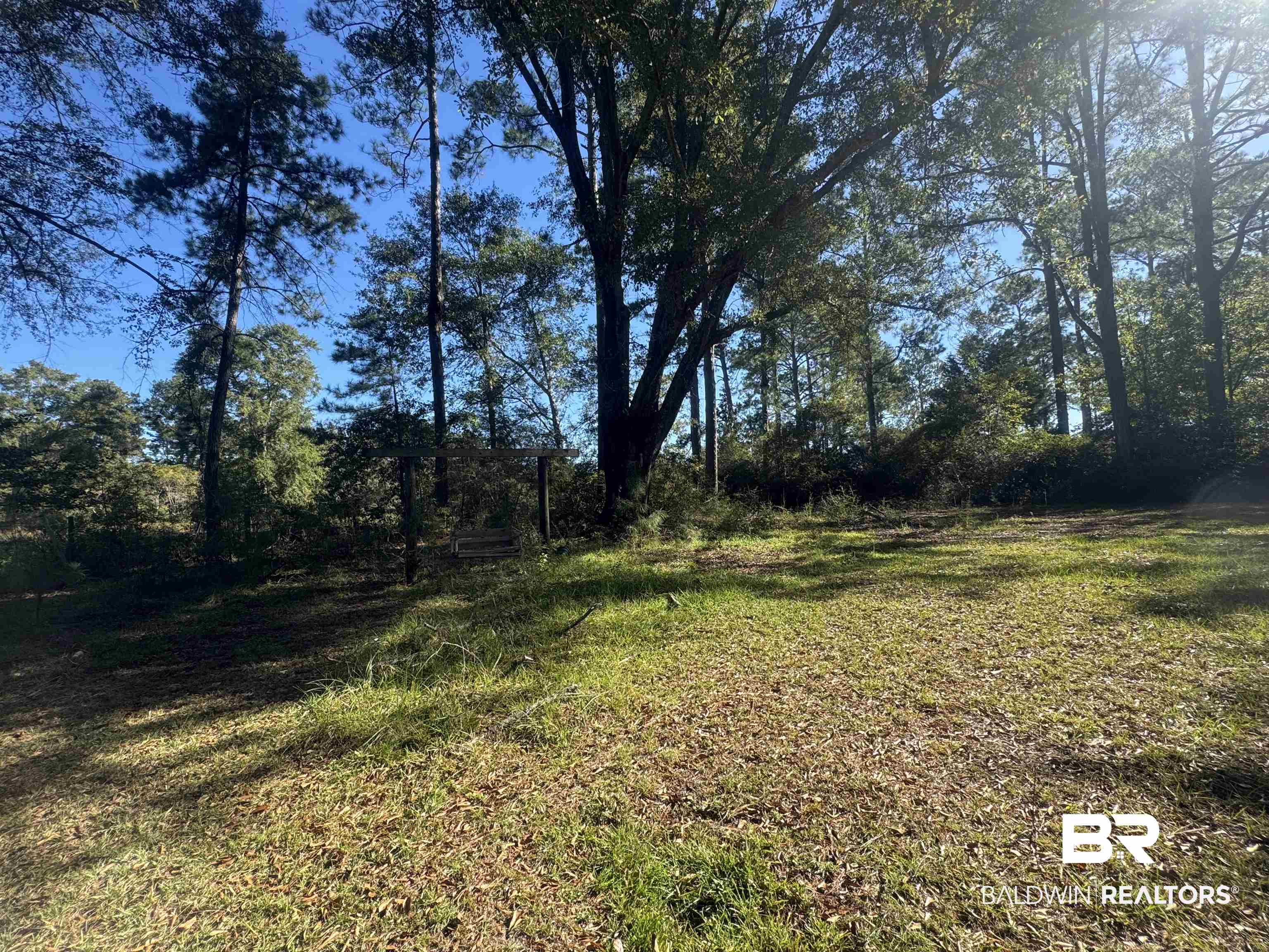 3097 Old Castleberry Road Brewton, AL 36426 - Photo 39 of 49 View of yard