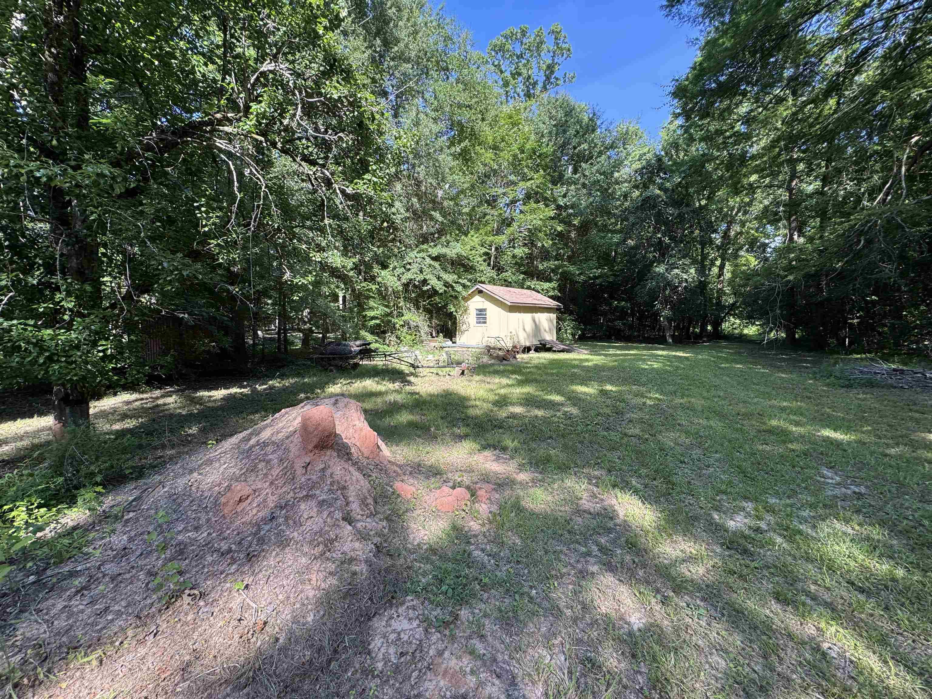 4011 C R 3775 Colmesneil, TX 75938 - Photo 12 of 40