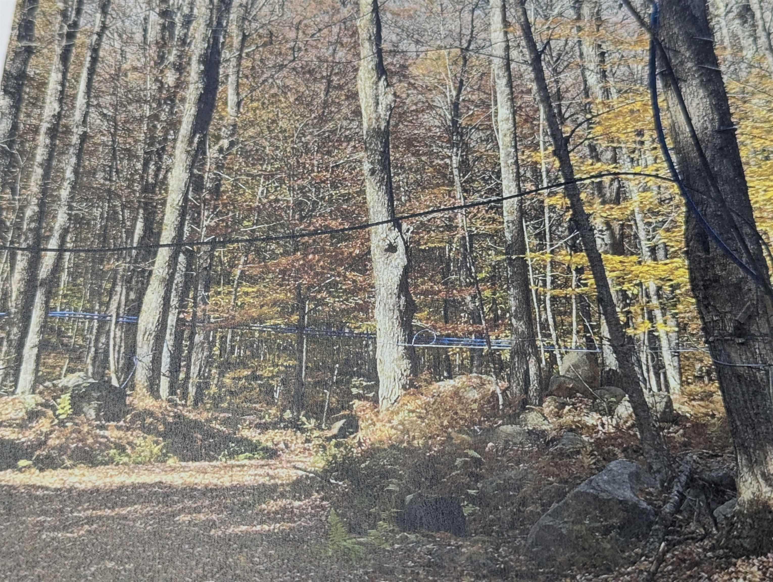 1928 Vt Route Ascutney, VT 05030 - Photo 1 of 13