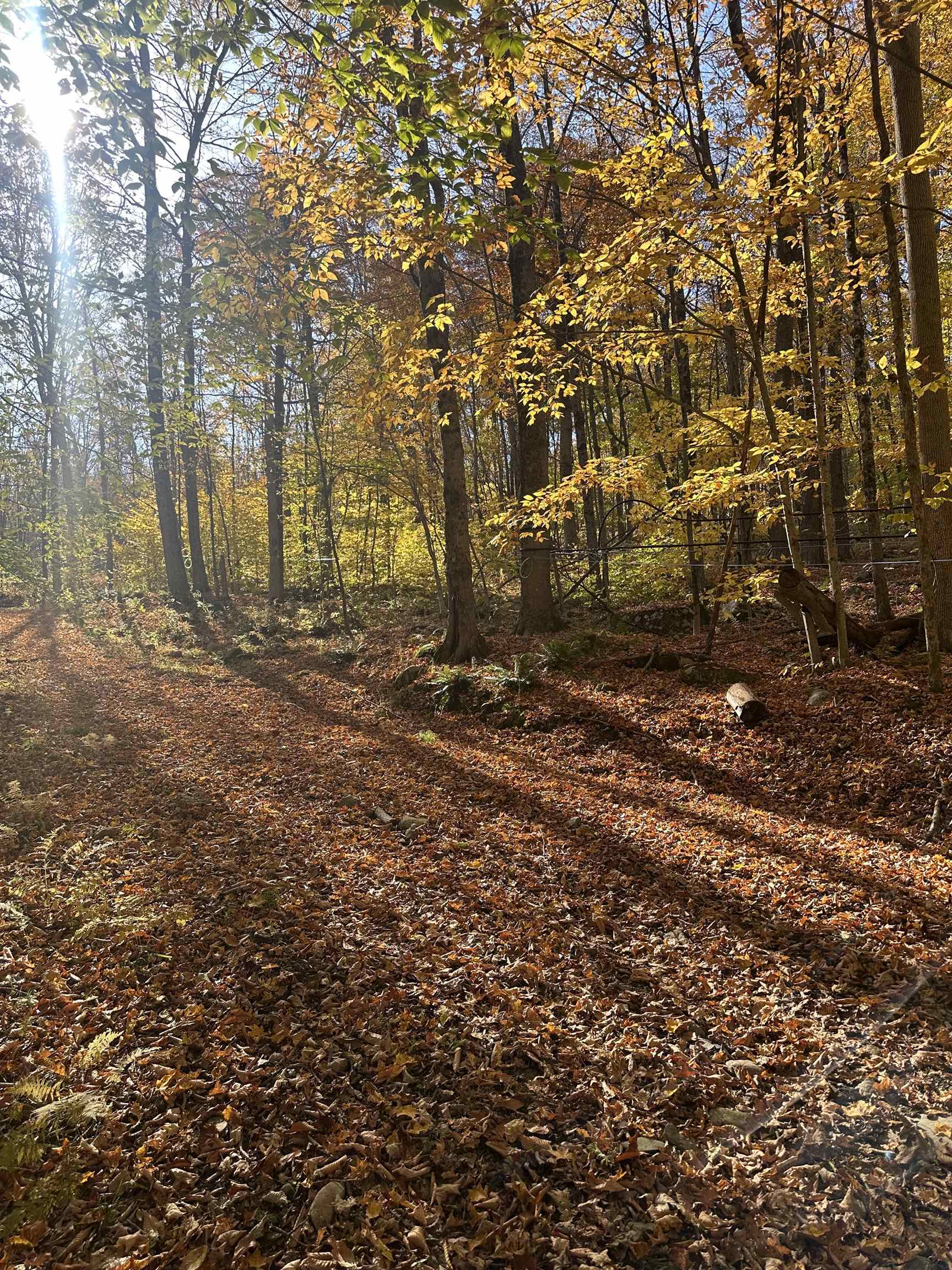 1928 Vt Route Ascutney, VT 05030 - Photo 11 of 13