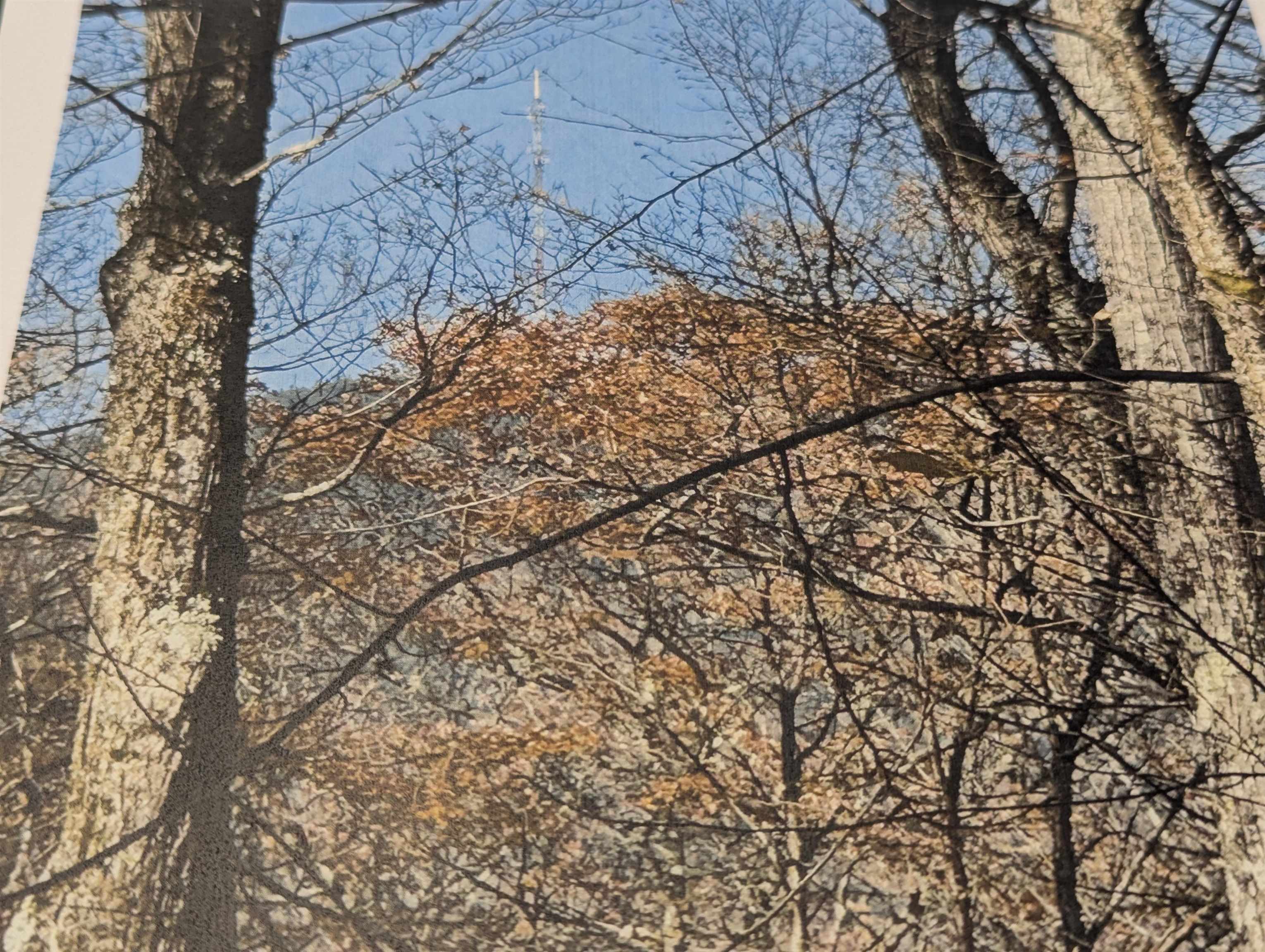 1928 Vt Route Ascutney, VT 05030 - Photo 3 of 13