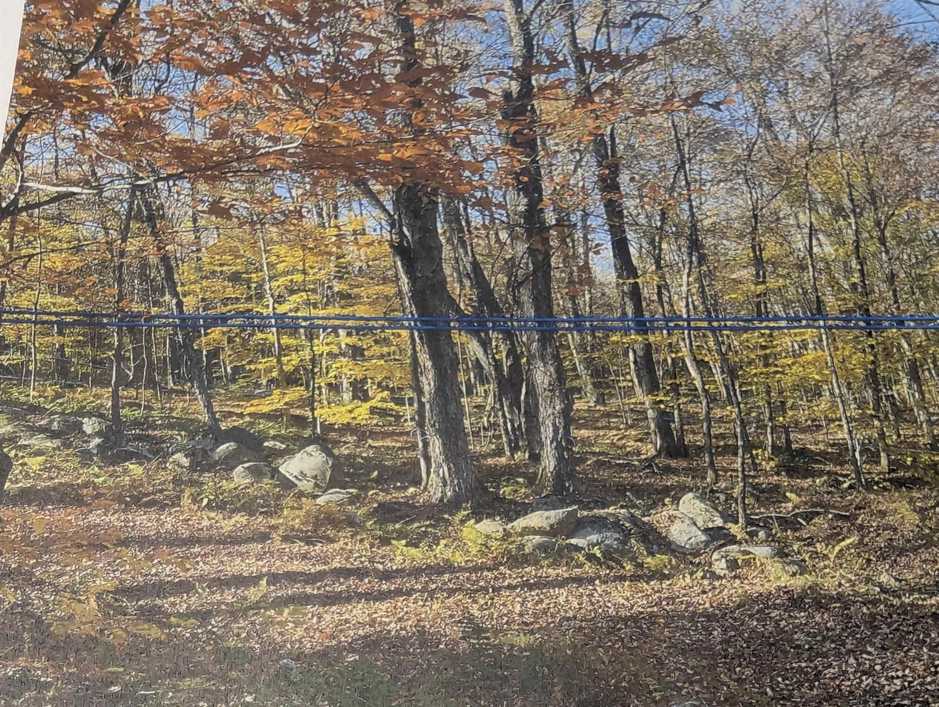 1928 Vt Route Ascutney, VT 05030 - Photo 4 of 13