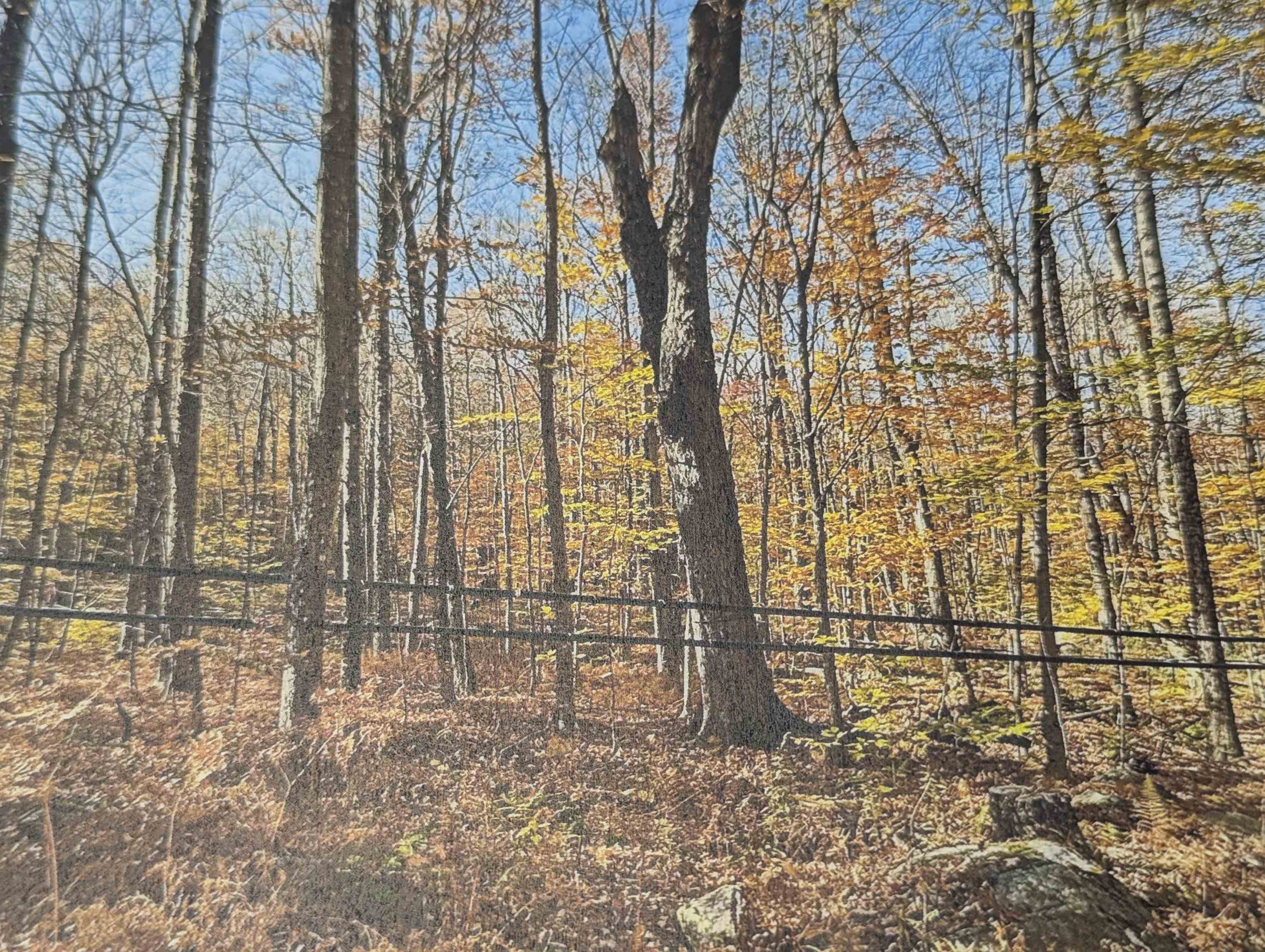 1928 Vt Route Ascutney, VT 05030 - Photo 4 of 13