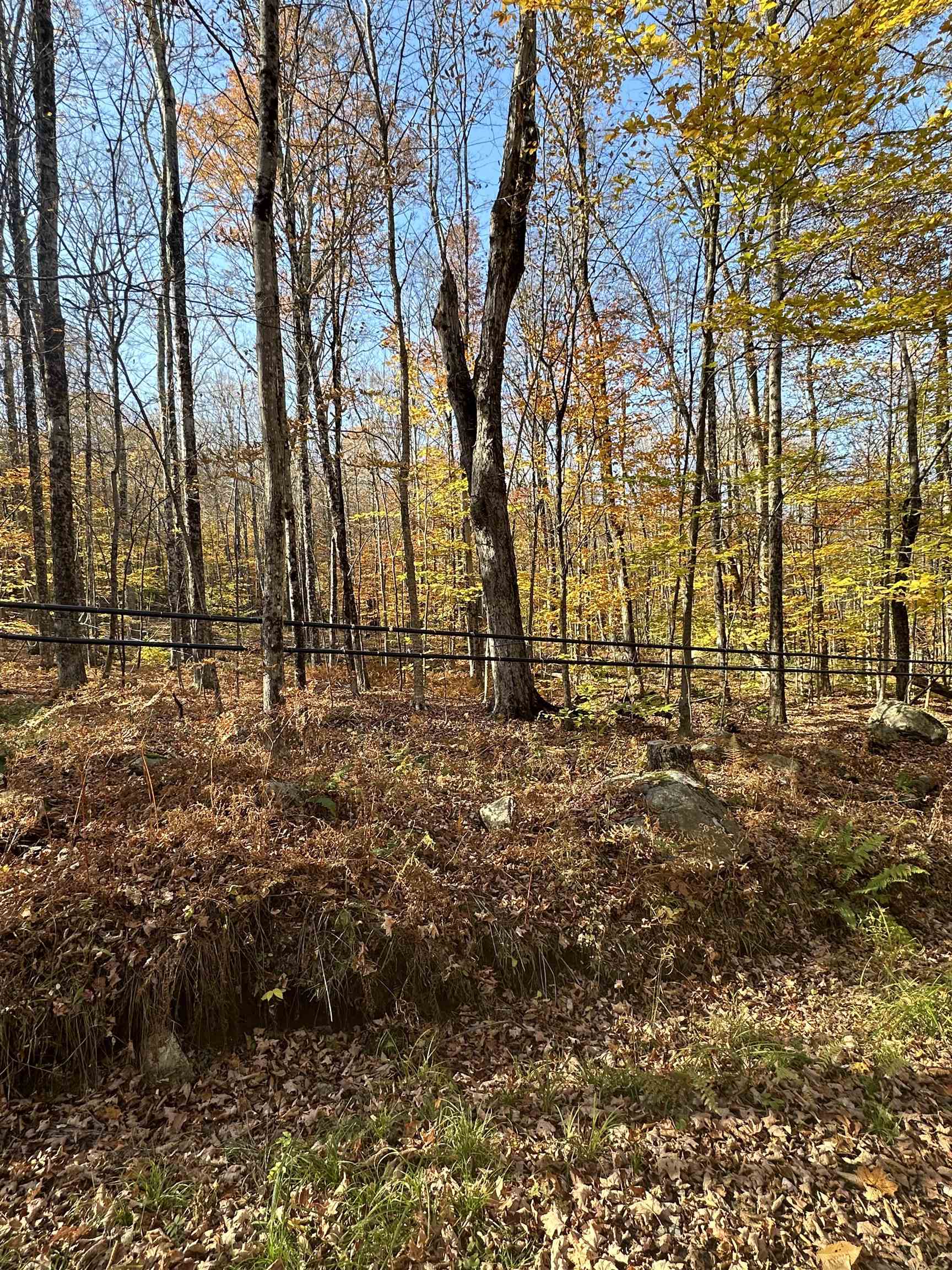 1928 Vt Route Ascutney, VT 05030 - Photo 5 of 13