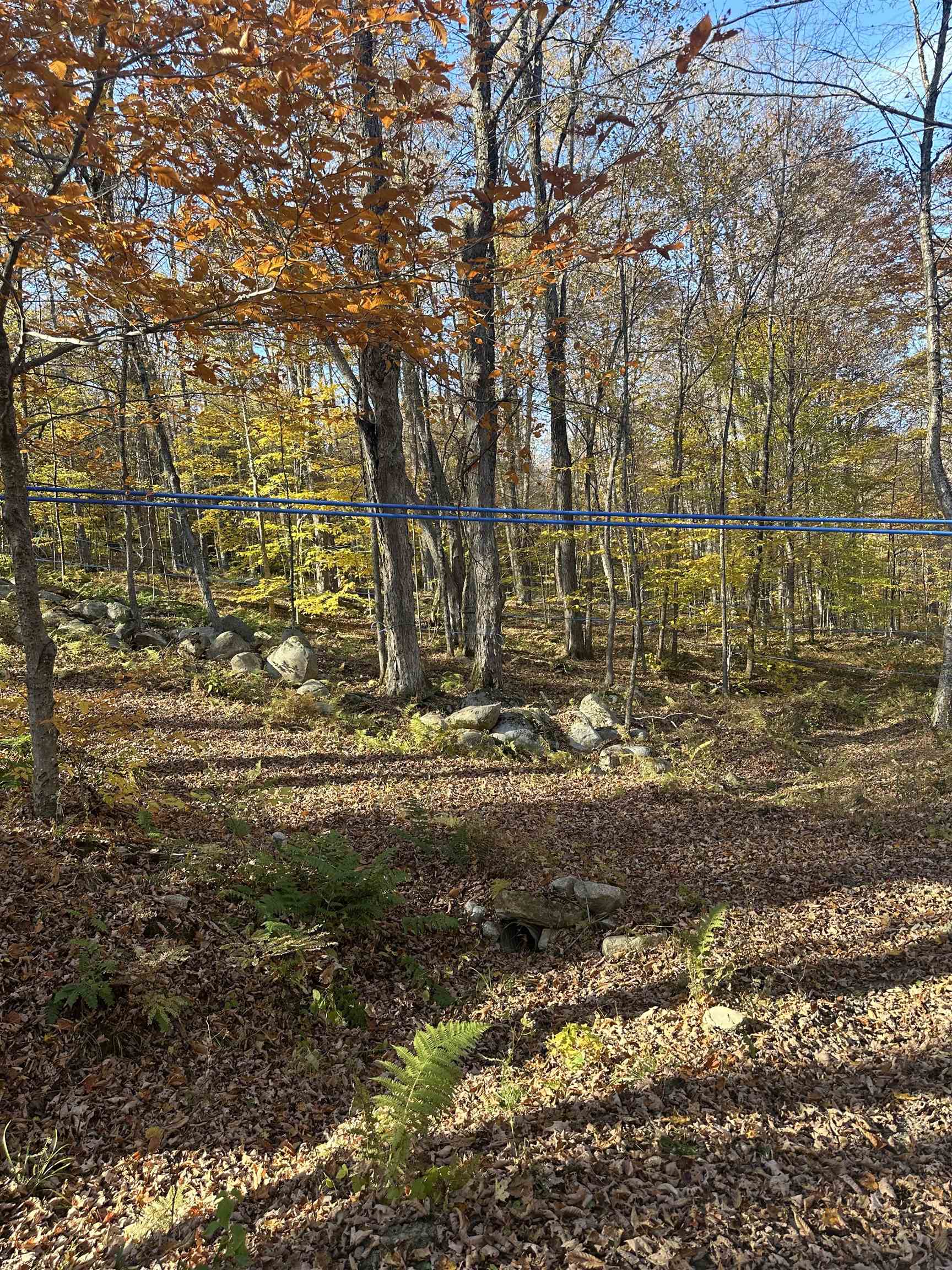 1928 Vt Route Ascutney, VT 05030 - Photo 9 of 13