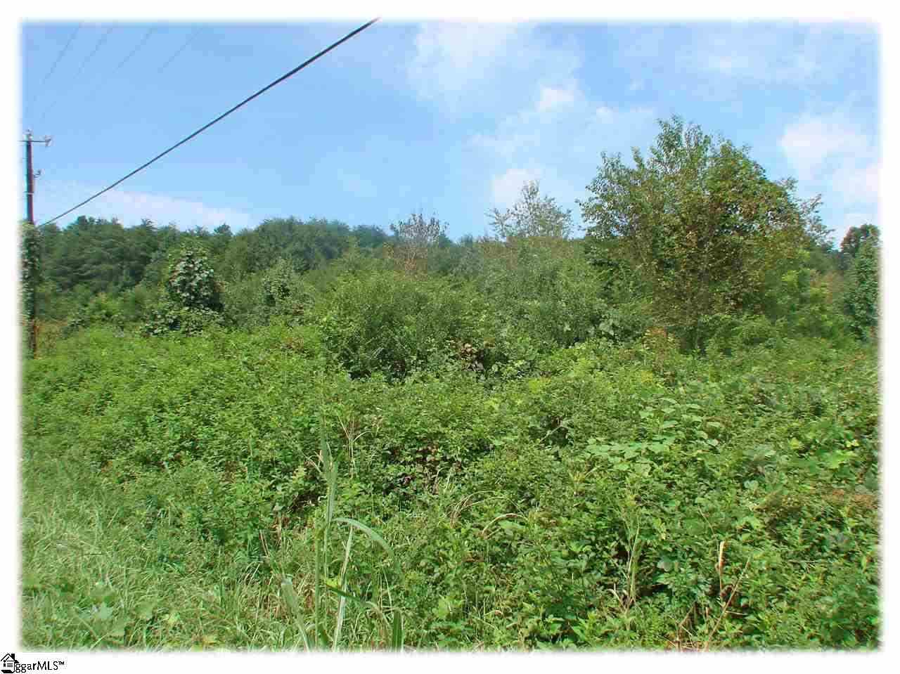Land Hammett Store Road Lyman, SC 29365 - Photo 1 of 1