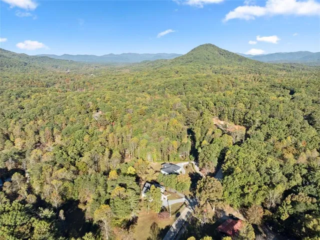 $595,000 | 2123 Goat Neck Road, Cleveland, GA 30528