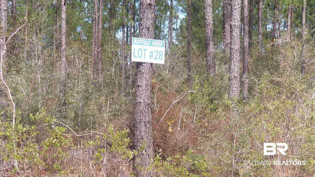 42 Ten Mile Road Pensacola, FL 32534 - Photo 5 of 32 Gallery Image 5