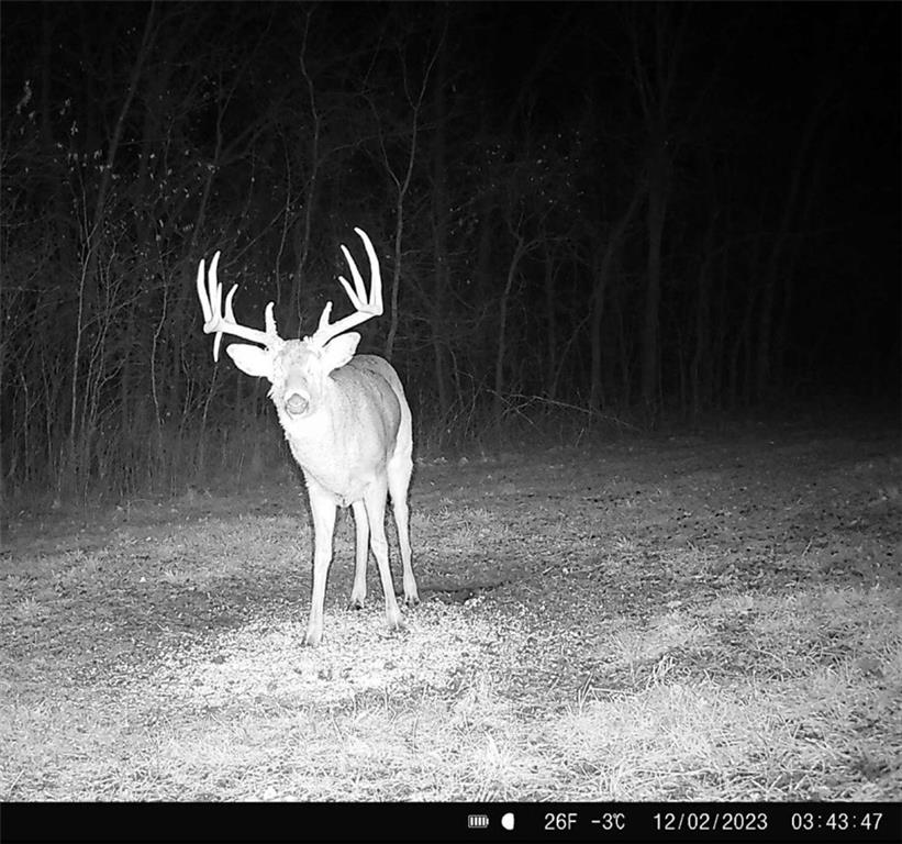 25733 Dempsey Road McLouth, KS 66054 - Photo 60 of 81