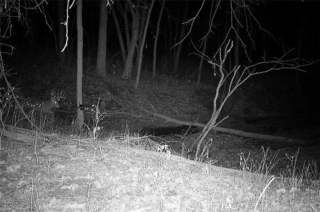 25733 Dempsey Road McLouth, KS 66054 - Photo 61 of 81