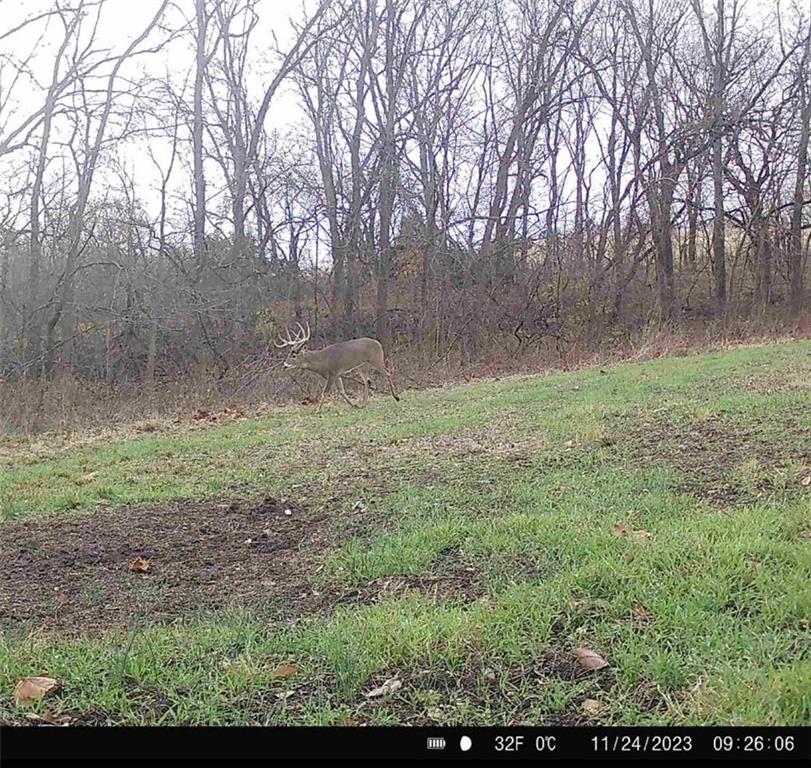 25733 Dempsey Road McLouth, KS 66054 - Photo 62 of 81