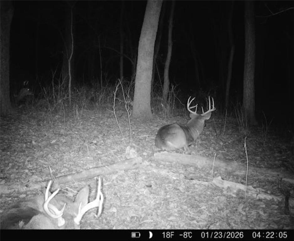 25733 Dempsey Road McLouth, KS 66054 - Photo 65 of 81