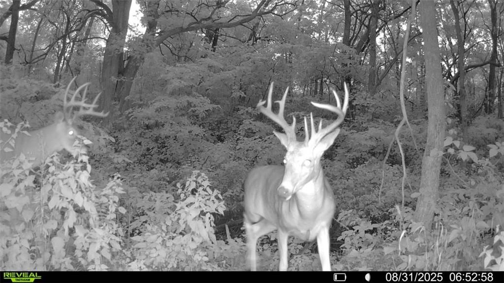 25733 Dempsey Road McLouth, KS 66054 - Photo 66 of 81