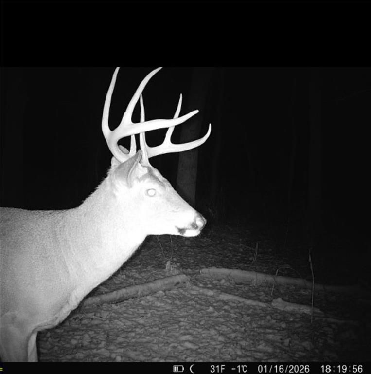 25733 Dempsey Road McLouth, KS 66054 - Photo 67 of 81