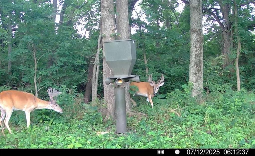 25733 Dempsey Road McLouth, KS 66054 - Photo 68 of 81