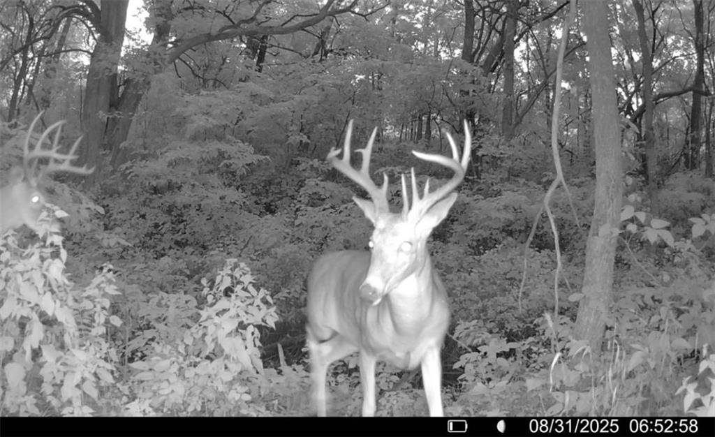 25733 Dempsey Road McLouth, KS 66054 - Photo 70 of 81