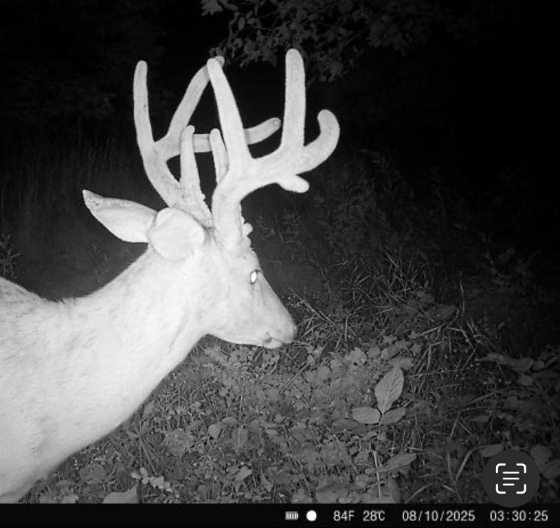 25733 Dempsey Road McLouth, KS 66054 - Photo 73 of 81