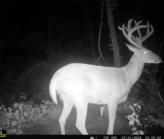 $570,000 | 25733 Dempsey Road, McLouth, KS 66054