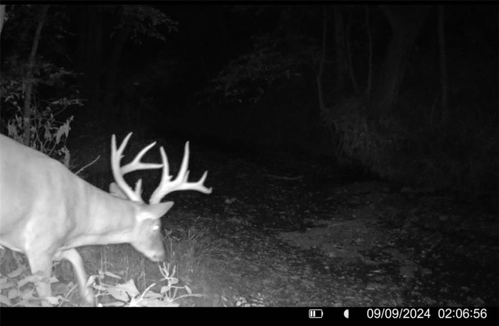 25733 Dempsey Road McLouth, KS 66054 - Photo 75 of 81