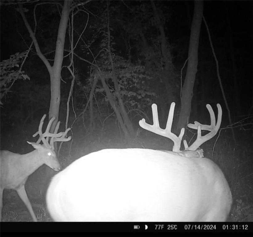 25733 Dempsey Road McLouth, KS 66054 - Photo 76 of 81