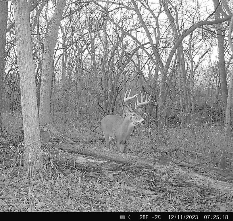 25733 Dempsey Road McLouth, KS 66054 - Photo 77 of 81
