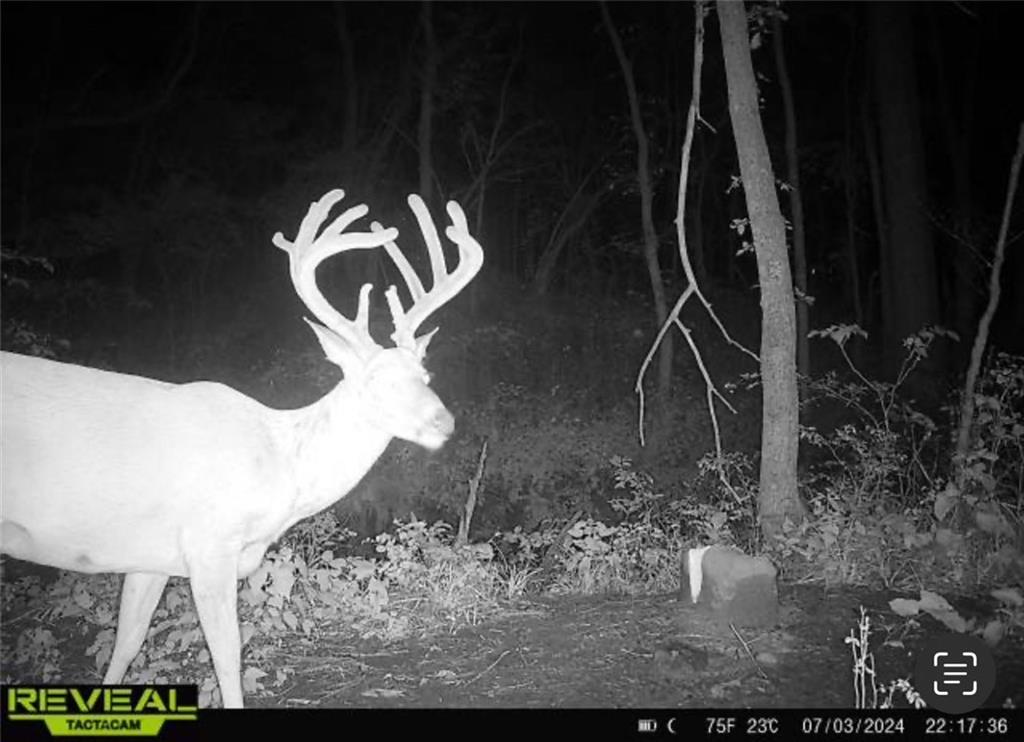 25733 Dempsey Road McLouth, KS 66054 - Photo 78 of 81