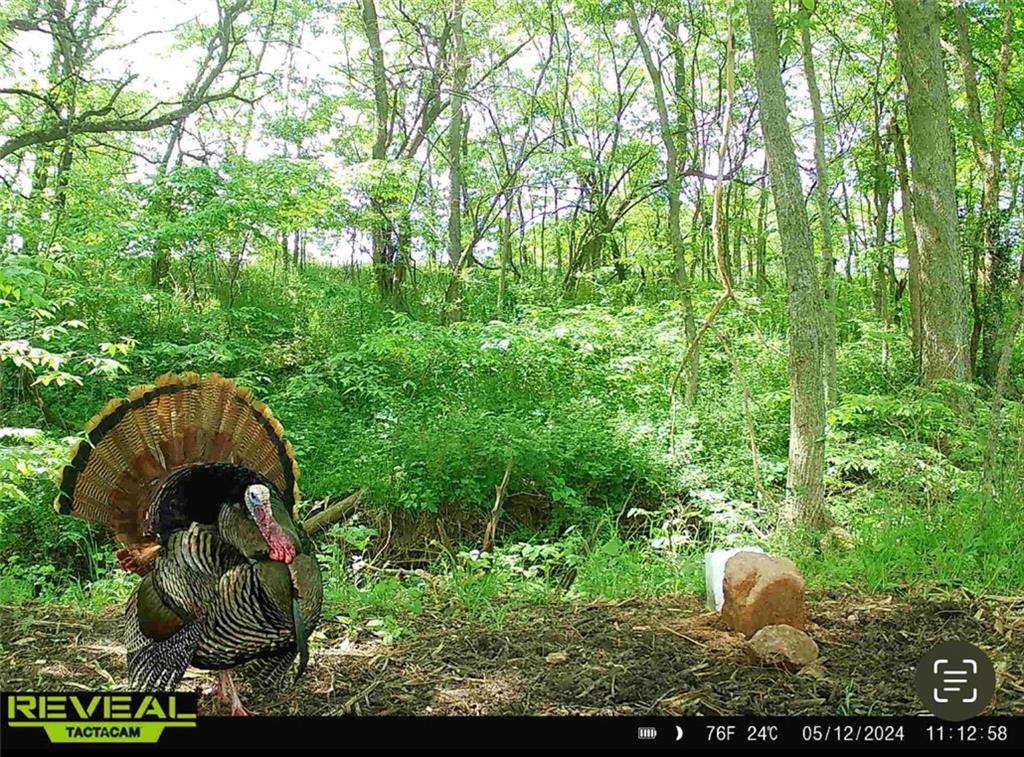 25733 Dempsey Road McLouth, KS 66054 - Photo 79 of 81