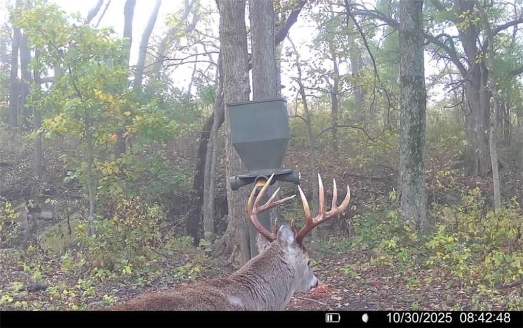 25733 Dempsey Road McLouth, KS 66054 - Photo 80 of 81