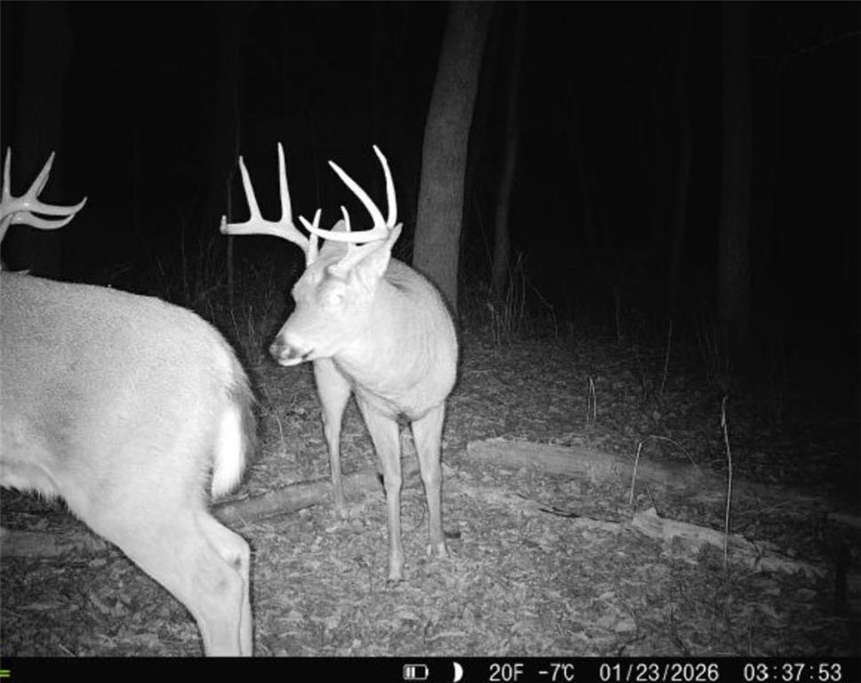 25733 Dempsey Road McLouth, KS 66054 - Photo 81 of 81