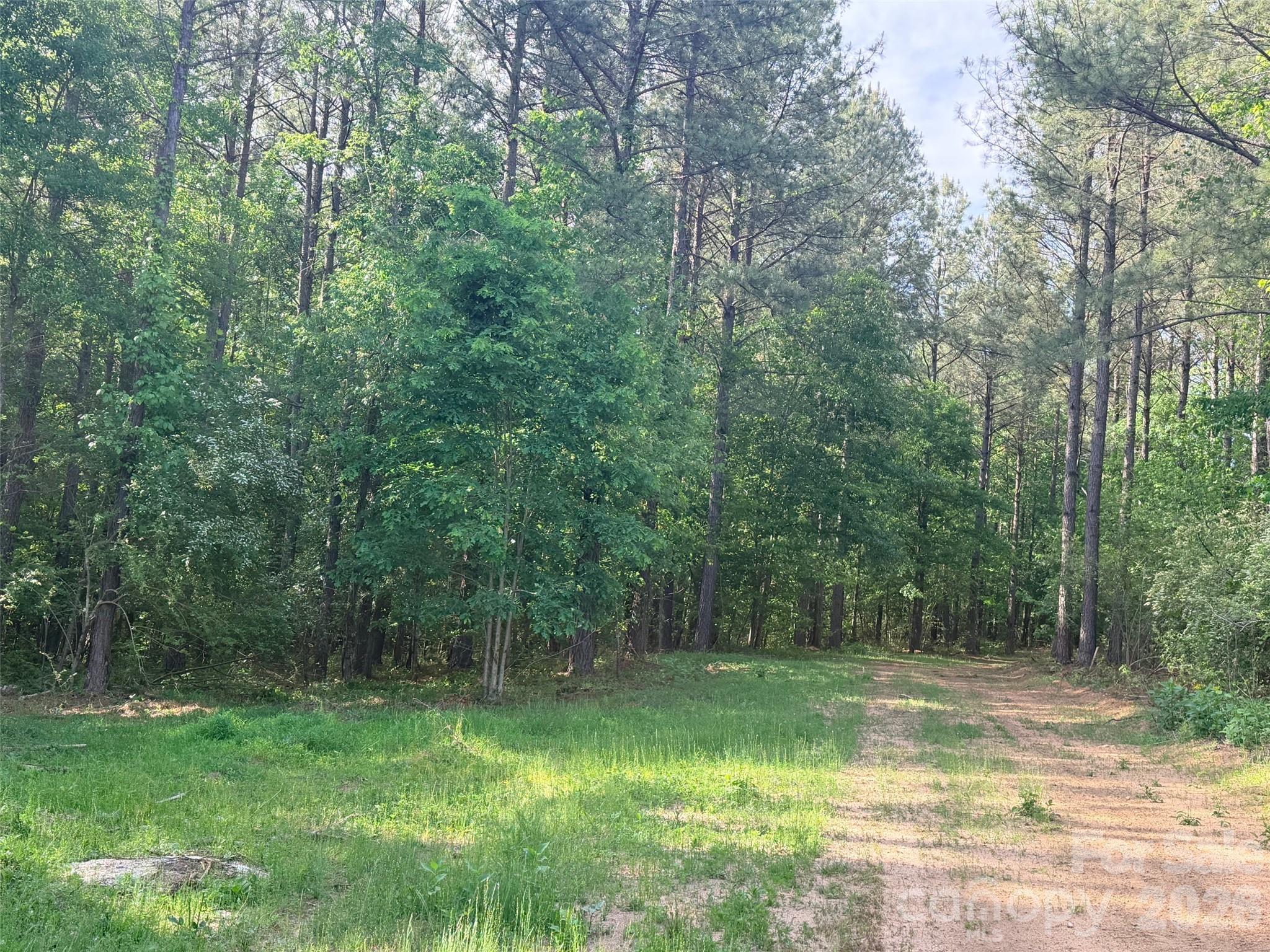 0 Morrow Motor Road Forest City, NC 28043 - Photo 11 of 18 a view of a backyard