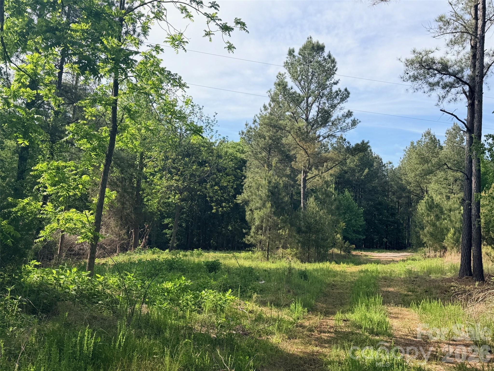0 Morrow Motor Road Forest City, NC 28043 - Photo 12 of 18 a view of backyard